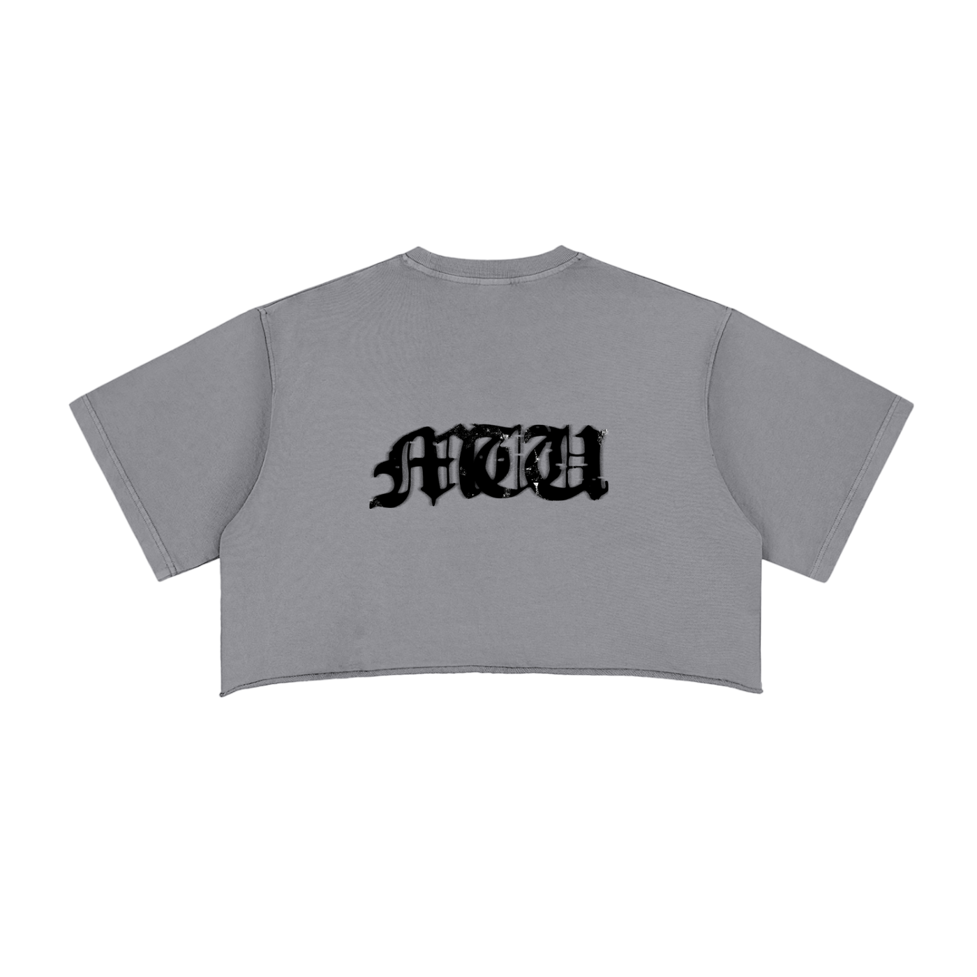 Snow Washed Raw Edge Crop Top